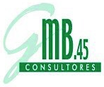 GMB45 Consultores